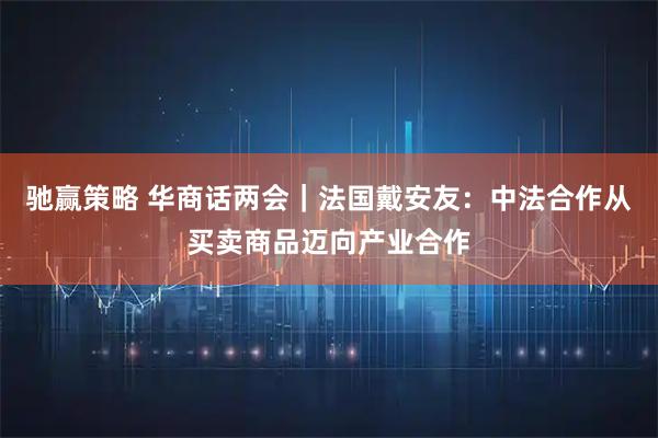 驰赢策略 华商话两会｜法国戴安友：中法合作从买卖商品迈向产业合作