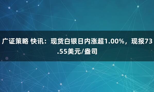 广证策略 快讯:现货白银日内涨超1.00%,现报73.55美元/盎司